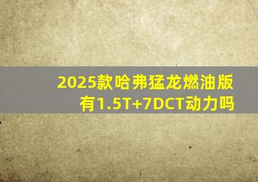 2025款哈弗猛龙燃油版有1.5T+7DCT动力吗