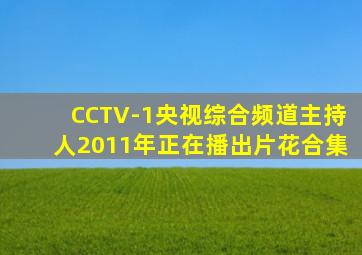 CCTV-1央视综合频道主持人2011年正在播出片花合集