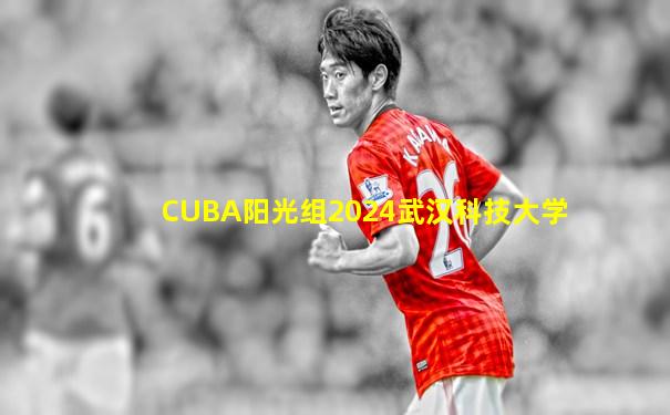 CUBA阳光组2024武汉科技大学