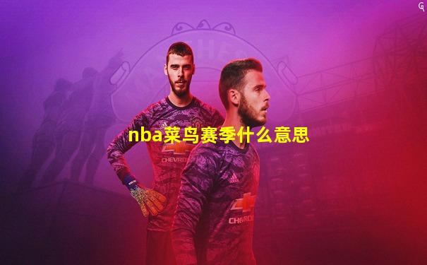 nba菜鸟赛季什么意思
