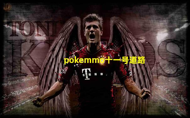 pokemmo十一号道路