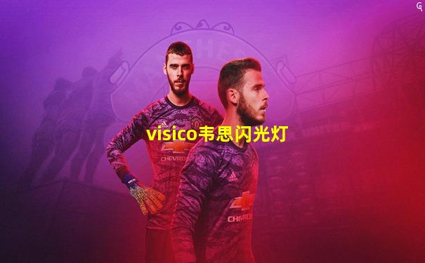 visico韦思闪光灯