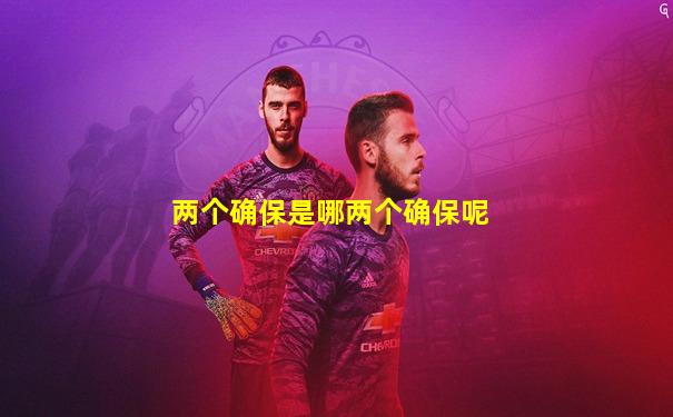 两个确保是哪两个确保呢