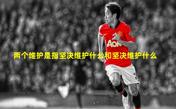 两个维护是指坚决维护什么和坚决维护什么