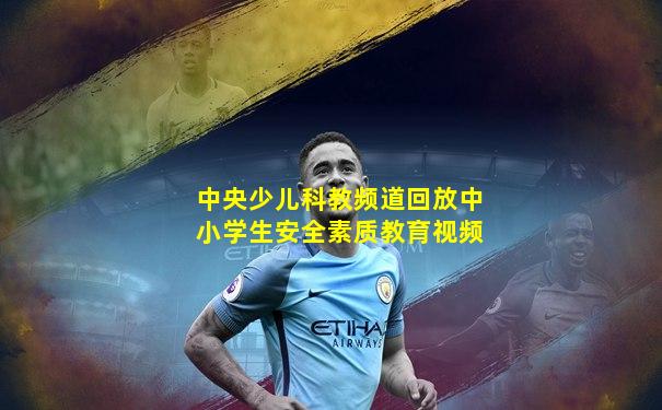 中央少儿科教频道回放中小学生安全素质教育视频