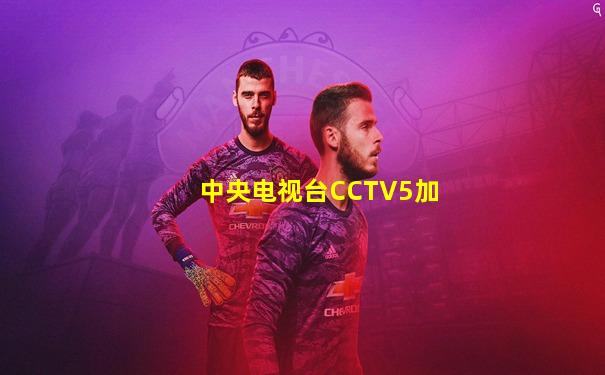 中央电视台CCTV5加