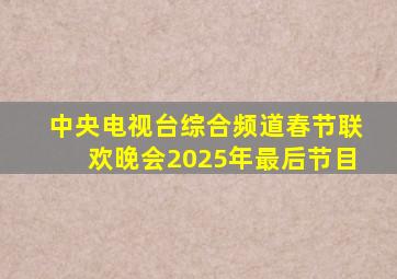 中央电视台综合频道春节联欢晚会2025年最后节目