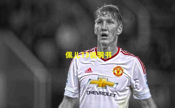 佩儿13说明书