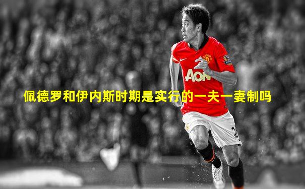 佩德罗和伊内斯时期是实行的一夫一妻制吗