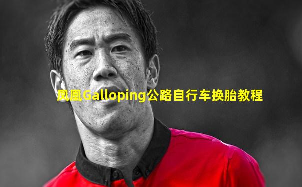 凤凰Galloping公路自行车换胎教程
