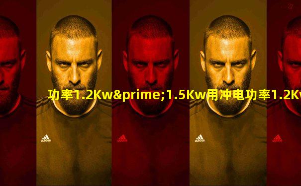 功率1.2Kw′1.5Kw用冲电功率1.2Kw冲电桩可以吗