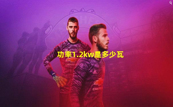 功率1.2kw是多少瓦