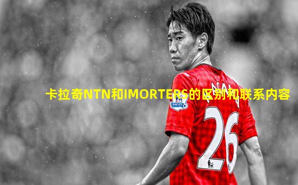 卡拉奇NTN和IMORTERS的区别和联系内容
