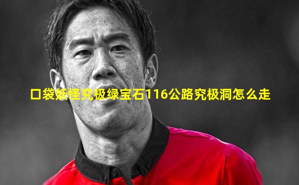 口袋妖怪究极绿宝石116公路究极洞怎么走