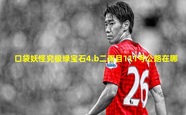 口袋妖怪究极绿宝石4.b二周目111号公路在哪