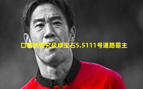 口袋妖怪究极绿宝石5.5111号道路霸主