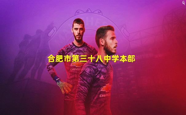 合肥市第三十八中学本部