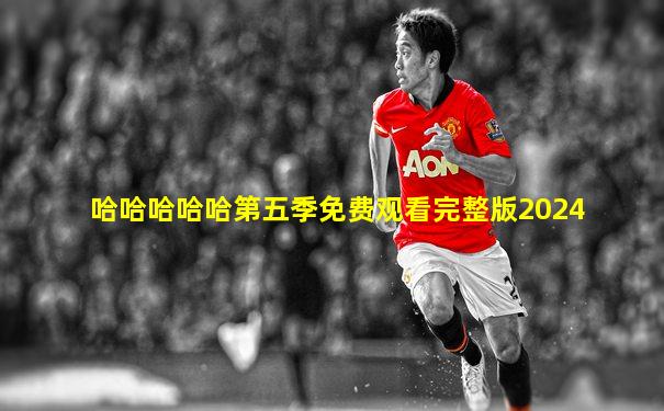 哈哈哈哈哈第五季免费观看完整版2024