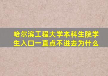 哈尔滨工程大学本科生院学生入口一直点不进去为什么