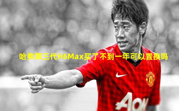 哈弗第三代H6Max买了不到一年可以置换吗