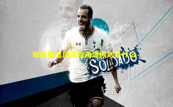 哈默提出的流程再造原则是什么