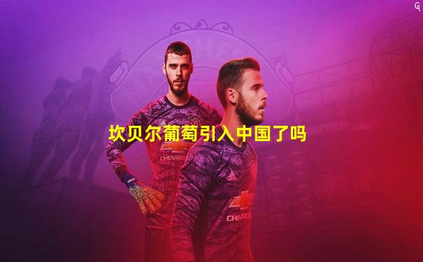 坎贝尔葡萄引入中国了吗