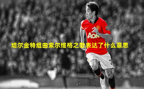培尔金特组曲索尔维格之歌表达了什么意思