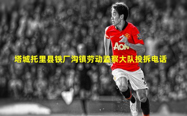 塔城托里县铁厂沟镇劳动监察大队投拆电话