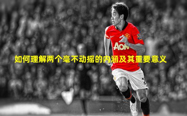 如何理解两个毫不动摇的内涵及其重要意义