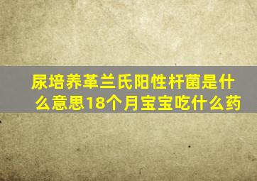 尿培养革兰氏阳性杆菌是什么意思18个月宝宝吃什么药