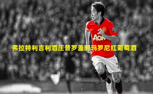 弗拉特利吉利酒庄普罗盖阿玛罗尼红葡萄酒
