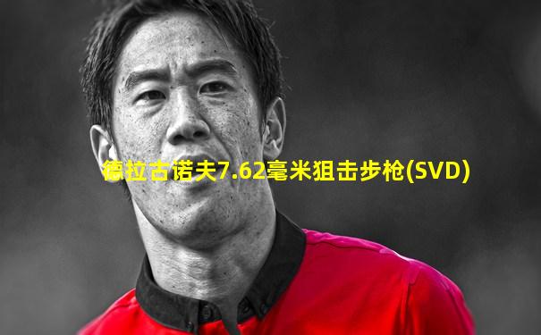 德拉古诺夫7.62毫米狙击步枪(SVD)