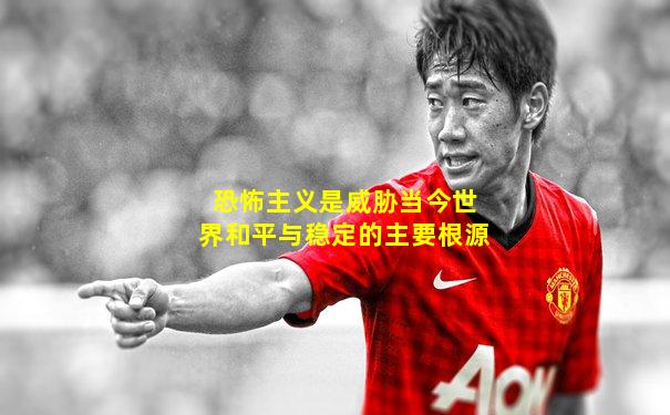 恐怖主义是威胁当今世界和平与稳定的主要根源