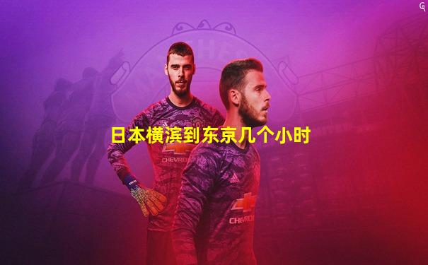 日本横滨到东京几个小时