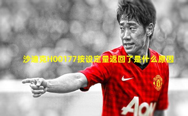 沙迪克H00177按设定量返回了是什么原因