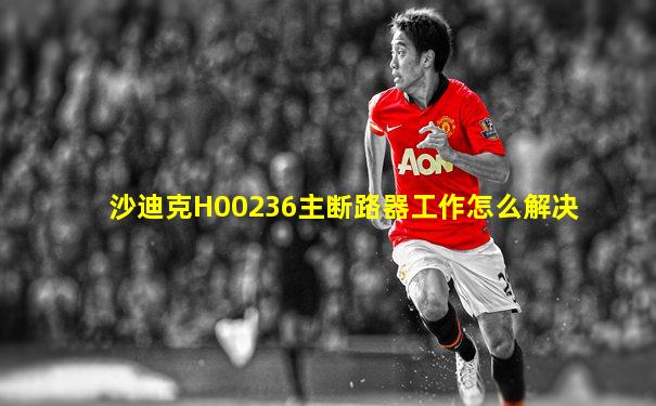 沙迪克H00236主断路器工作怎么解决