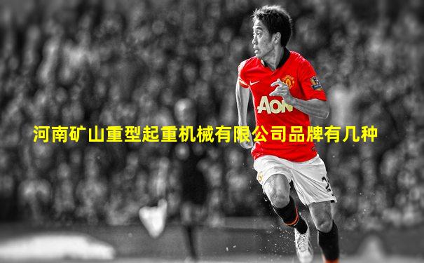 河南矿山重型起重机械有限公司品牌有几种