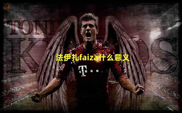 法伊扎faiza什么意义
