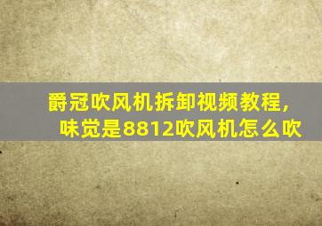 爵冠吹风机拆卸视频教程,味觉是8812吹风机怎么吹