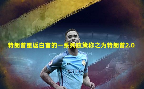 特朗普重返白宫的一系列政策称之为特朗普2.0