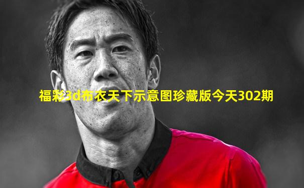 福彩3d布衣天下示意图珍藏版今天302期