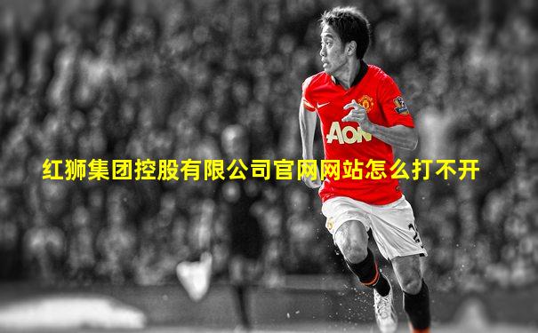 红狮集团控股有限公司官网网站怎么打不开