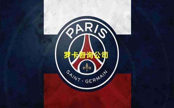 罗卡咨询公司