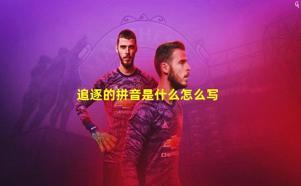 追逐的拼音是什么怎么写