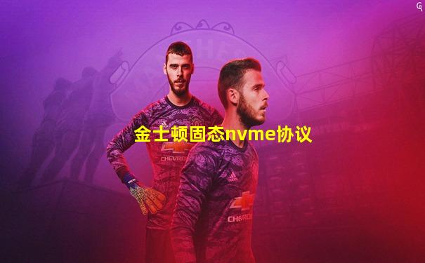 金士顿固态nvme协议