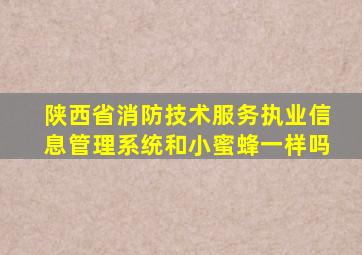 陕西省消防技术服务执业信息管理系统和小蜜蜂一样吗
